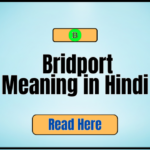 _Bridport Meaning in Hindi