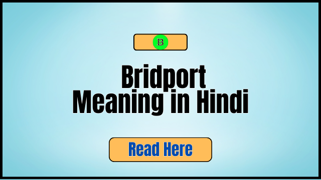 _Bridport Meaning in Hindi