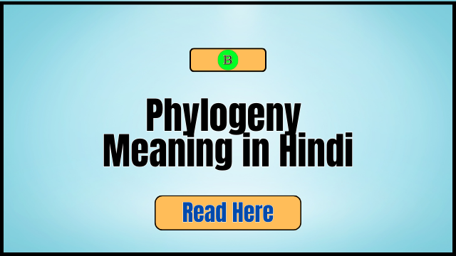 Phylogeny Meaning in Hindi