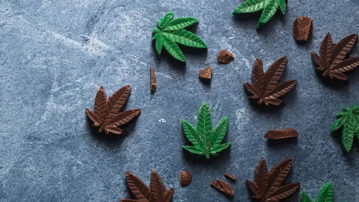 Everything You Need To Know About Edibles