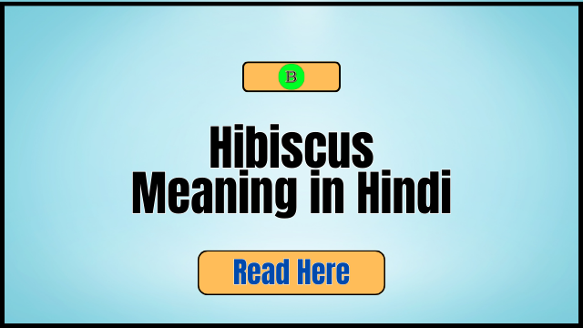 Hibiscus Meaning in Hindi