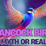 Hancock Bird: Myth or Real? A Mystery Since Mid 20th Century!