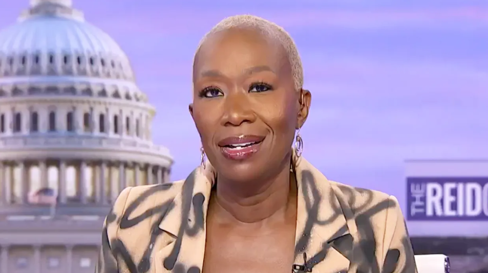 Who Is Joy Reid? Who Is Her Husband? How Much Does She Have Net Worth? Know Everything!