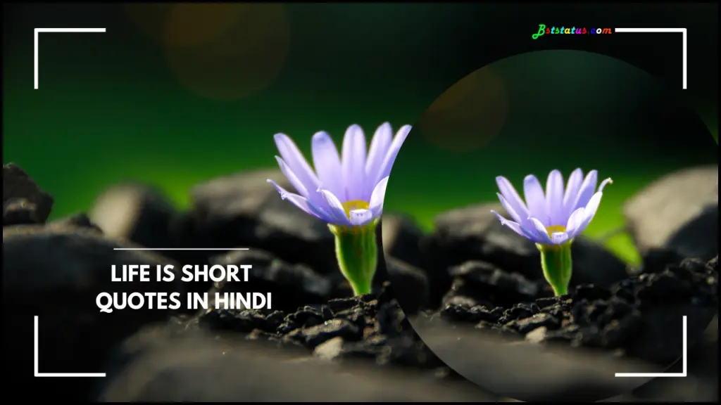 Life Is Short Quotes in Hindi