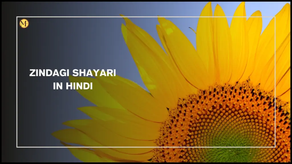 Zindagi Shayari In Hindi
