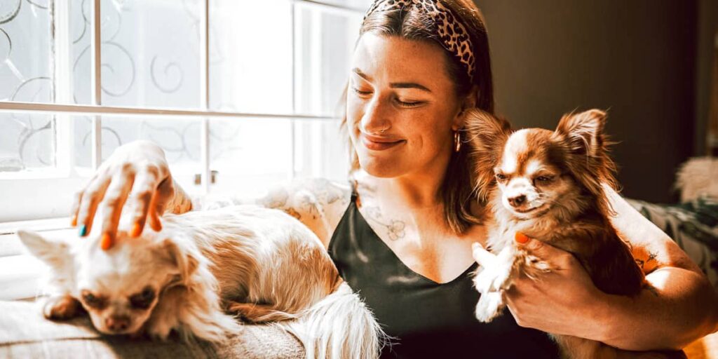 Guide To Pet Ownership After A Breakup