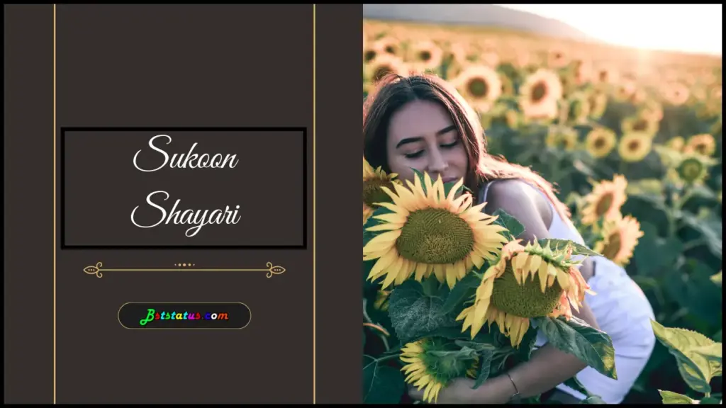 Sukoon Shayari