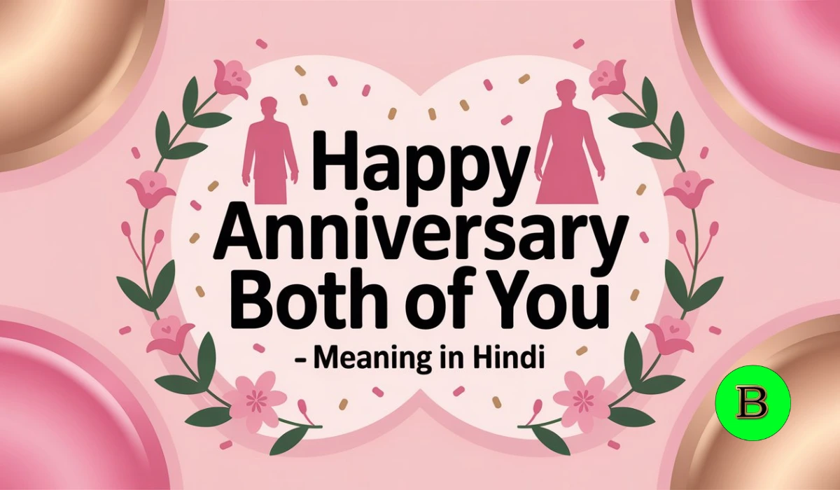 happy anniversary both of you meaning in hindi